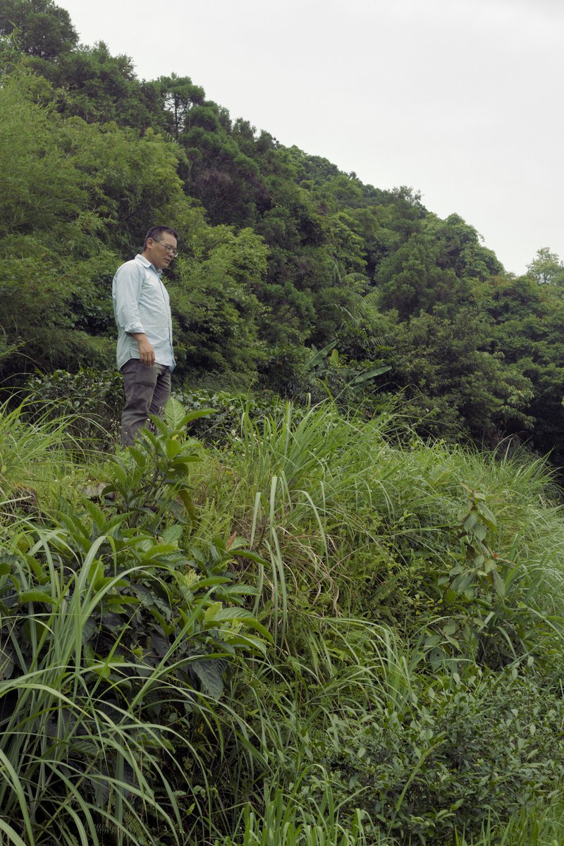 farmer standing in naturally farmed tea garden
