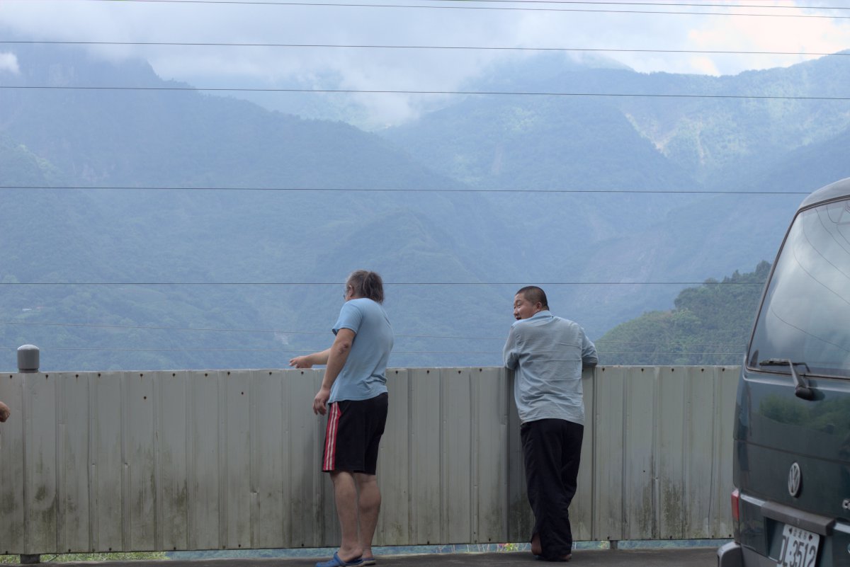 tea master overlooking wild tea garden in Taiwanese mountains 