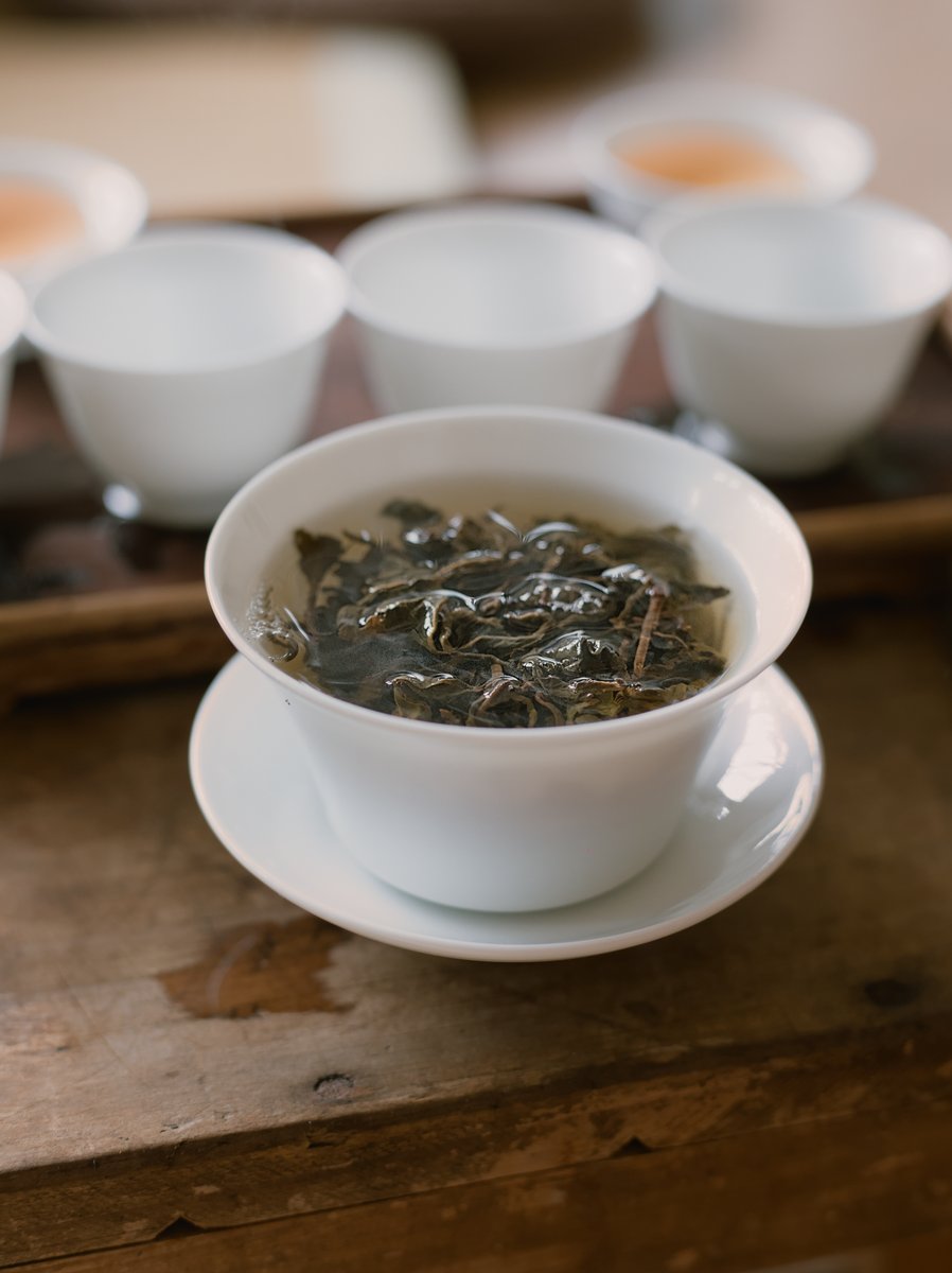 steeping naturally farmed Dong Ding oolong tea leaves in gaiwan