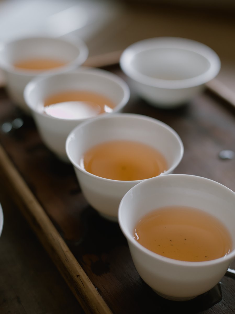 white porcelain cups on a wooden board filled with naturally farmed Dong Ding oolong tea