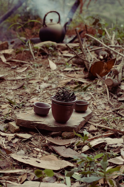 drinking natural loose leaf tea in the mountains