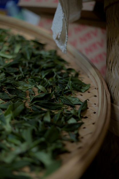 making wild farmed tea