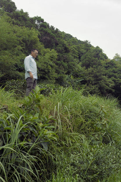 farmer standing in naturally farmed tea garden