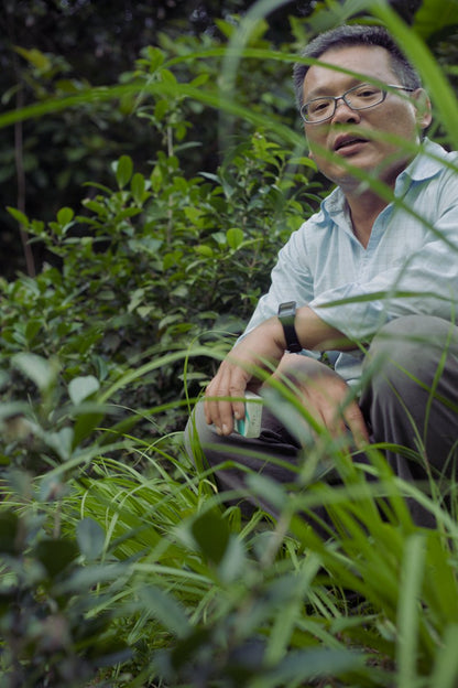 farmer sitting behind grass in naturally farmed tea garden