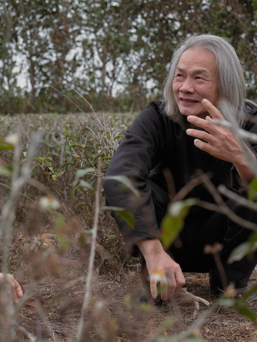 natural tea farmer sitting on the ground of his wild tea garden