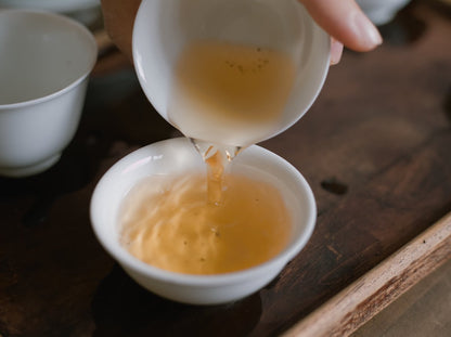 pouring naturally farmed Dong Ding oolong tea into a white porcelain cup