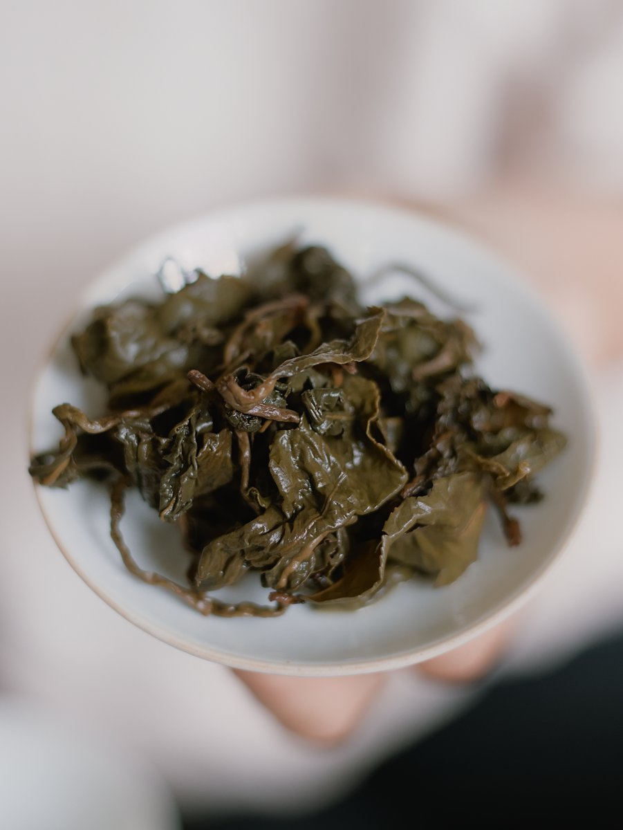 spent naturally farmed Dong Ding oolong tea leaves on lid of gaiwan