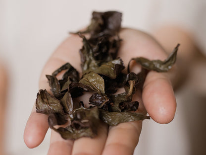 open hand presenting spent naturally farmed oolong tea leaves