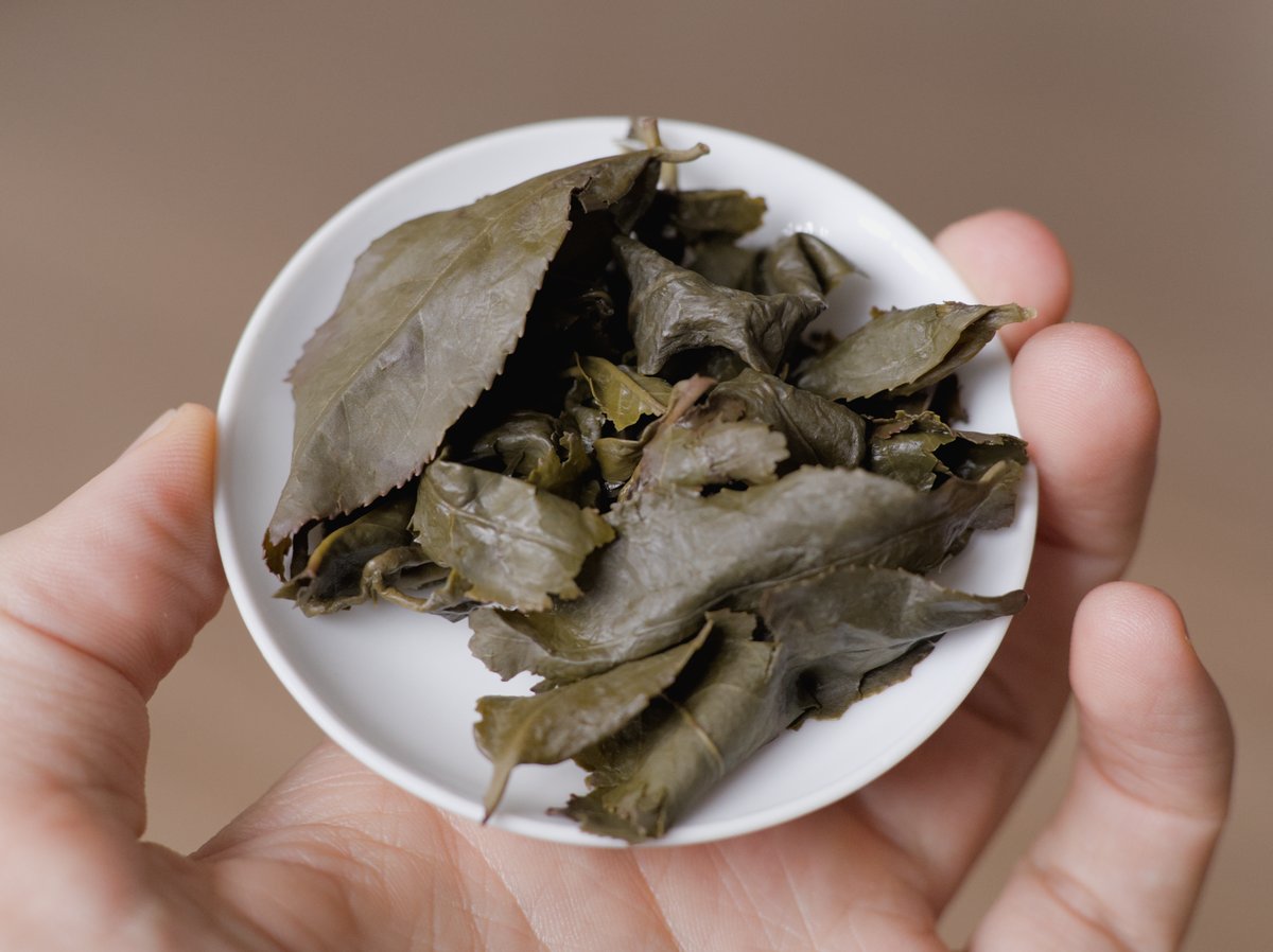 spent naturally farmed oolong tea leaves sitting on lid of gaiwan