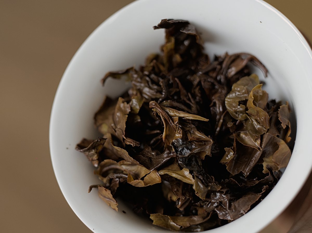 spent naturally farmed Ruby Red Jade oolong tea leaves in gaiwan